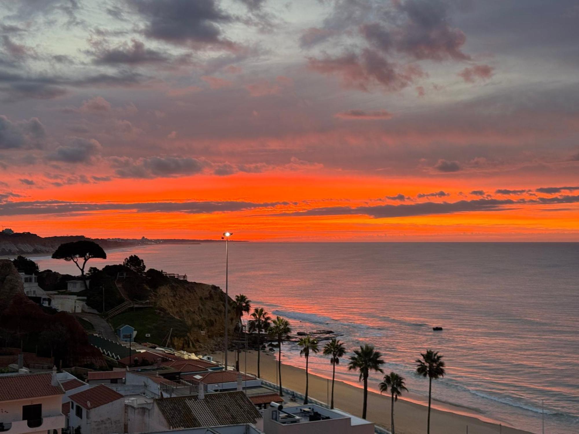 Apartamentos Do Parque Albufeira Eksteriør bilde